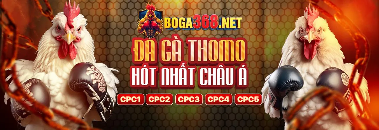 Sảnh Đá Gà Trực Tuyến 188be 2026